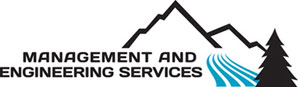 Management and Engineering Services